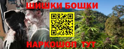 гашик Ливны