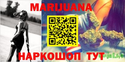 гашик Ливны