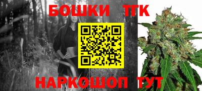 гашик Ливны