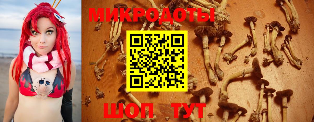 Галлюциногенные грибы мицелий Звенигород