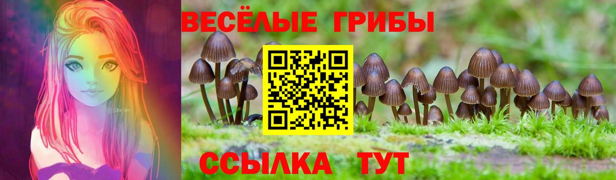 Псилоцибиновые грибы Psilocybine cubensis  Вход с VPN  купить   Звенигород  Псилоцибиновые грибы GOLDEN TEACHER 